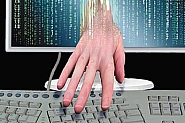 Експерт: Измамни сайтове се възползват от глобалния срив, за да крадат пари и лични данни