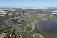 Силистра обяви частично бедствено положение заради пресъхването на езеро Сребърна
