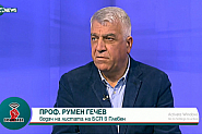 Проф. Гечев, БСП: АЕЦ “Белене“ трябва да бъде завършена
