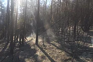 Продължава борбата с пожара над Рилския манастир