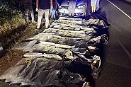Заловиха над 300 килограма наркотици край Бургас