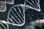 Еволюция или заплаха? Британски учени създадоха първата изцяло синтетична човешка ДНК