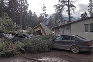 Ураганен вятър удари София, Боровец и Рила – пориви над 100 км/ч, блокирани пътища и полети