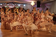Един от 35 виенски бала по света - в София. С приходите подкрепят млади лекари