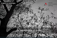 Съветник на Борисов за обвинен бизнесмен: Дойде удобен момент да кажат: „Опраскайте го и тоя!“