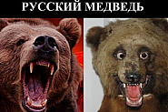 Русофилската партия – мокри сънища и реалност