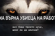 Протест пред ВМА срещу връщането на работа на лекара, убил кучето Мая