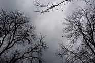 Облачно, на места със слаби валежи от дъжд. Какво време ни чака през втория ден от новата година?