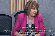 Манолова: Да се извадят търговците на ток, спечелили милиони, докато фирми фалират