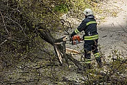 Силната буря затвори пътя Пещера – Батак