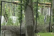 Махнаха оградата около спорен строеж в Баба Алино