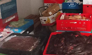 3,6 тона негодно месо от кланица в Харманли отиват за унищожение