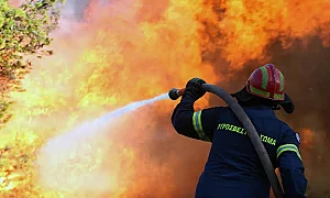Щетите от горски пожари в Европа надхвърлиха 3 млрд. евро. А рискът тепърва ще расте