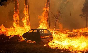 40 български пожарникари помагат в гасенето на пожарите в Испания