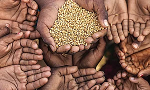Гладът по света расте рязко, докато помощта намалява