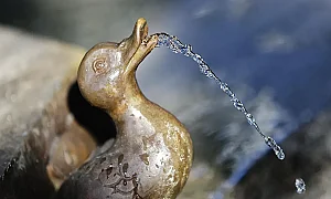 България е на четвърто място в Югоизточна Европа по безопасна вода