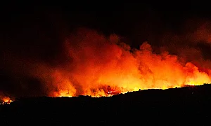 Южна Европа гори: Хиляди бягат от домовете си заради пожарите