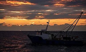53 кораба, 10 тона отпадъци и един нерешен проблем в Черно море