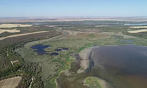 Силистра обяви частично бедствено положение заради пресъхването на езеро Сребърна