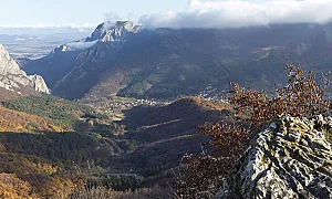 Подменени са половината шефове на държавните горски предприятия