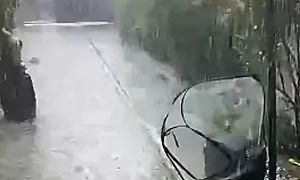 Мощни бури удариха Северозападна България