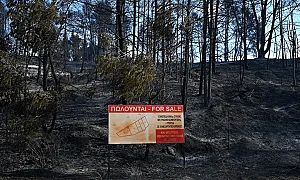 Заради пожари евакуираха туристи от гръцки острови, няма пострадали