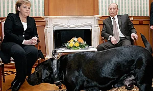 Ангела Меркел или Марио Драги ще представлява ЕС при преговори с Путин
