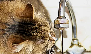 Нова цел на руските удари в Украйна – водоснабдяването на селищата