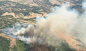 Напълно потушиха пожара край Бобошево, който изгори 1200 декара земя, гора и къщи