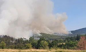 Версия за умишлен палеж: Разследват големия пожар край АМ „Тракия“