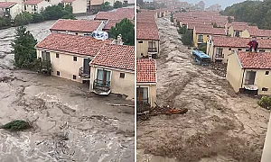 В София се страхуват от ново „Елените“: „Манастирски ливади“ заплашват с протест