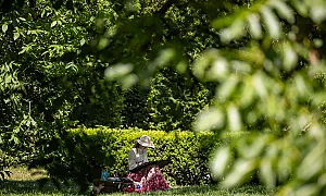 Температури до 31° на 31 май; слънчево с валежи в източна България