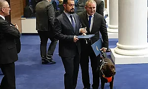 За първи път! Куче-водач в парламента