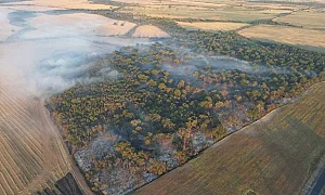 Стотици активни огнища: Пожарът в Пловдивско отново се възпламени