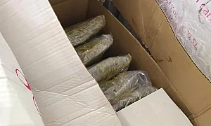 Българин с половин тон марихуана беше арестуван на гръцко пристанище