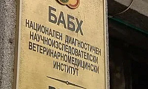 В бивше ТКЗС: Разкриха незаконна кланица с над 10 тона месо
