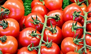 Сезонът на доматите е в разгара си, а цената им е с 16% нагоре
