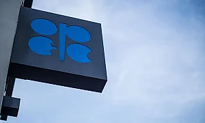 Исторически трус: ОАЕ напускат ОПЕК на фона на Ормузката криза