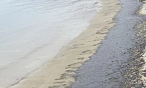 Сигнал за мазут на плаж във Варна, проверката не откри замърсяване