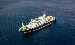 Евакуират заразени от хантавирус от кораба MV Hondius, тревога в Европа