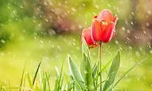 Облачна събота, валежи – температури 15-21°