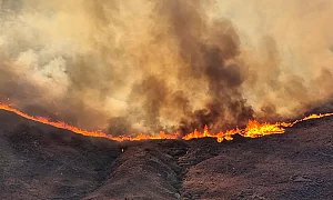 Горски пожари бушуват в Япония. Хиляди са евакуирани