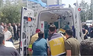 Връзката „Син кит“ и подражанието – версиите зад училищното клане в Турция