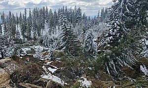 Свлачището на пътя Пампорово-Смолян остава активно. И край Стойките има свличане