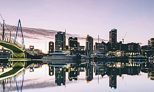 Нова Зеландия без статуя на сексуални робини след несъгласие на Япония