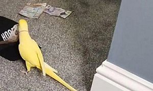 .