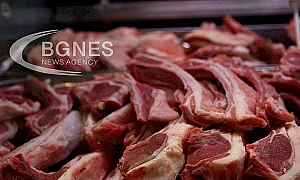 Гергьовден без българско агне: Плащаме по 40 лв. за внос от Нова Зеландия