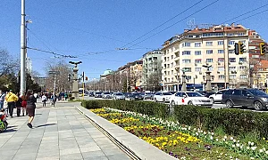 Забравен куфар в автобус 94 предизвика суматоха на Орлов мост