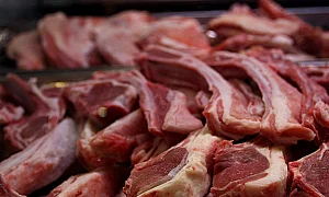 800 агнета изчезнаха мистериозно от Свищов, има риск да са стигнали до пазара