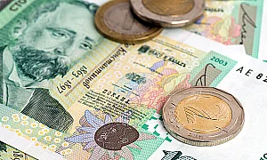 Край на безплатната обмяна на левове в евро в банките: Какво се променя от 1 юли